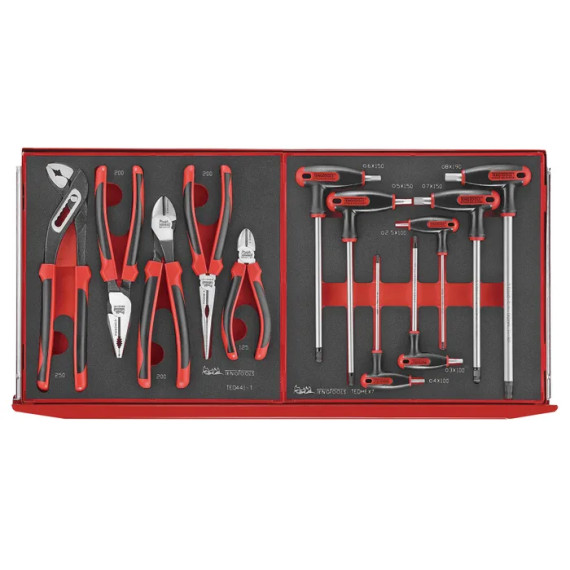 VERKTØYKASSE MOTORSPORT TC8169NMS TENG TOOLS (UTSTILLINGMODELL)