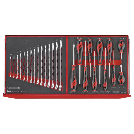 VERKTØYKASSE MOTORSPORT TC8169NMS TENG TOOLS (UTSTILLINGMODELL)