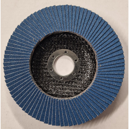 Lamellrondell P40 10stk 125X22.23, Nexteen